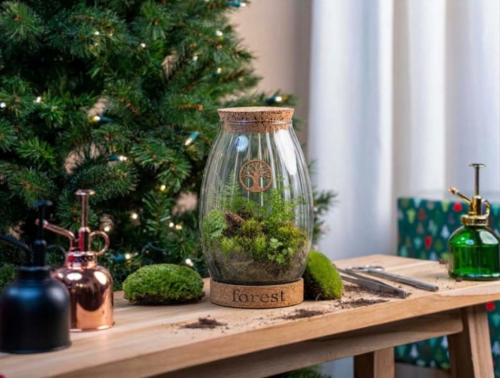 Kit terrarium Forest 28 cm