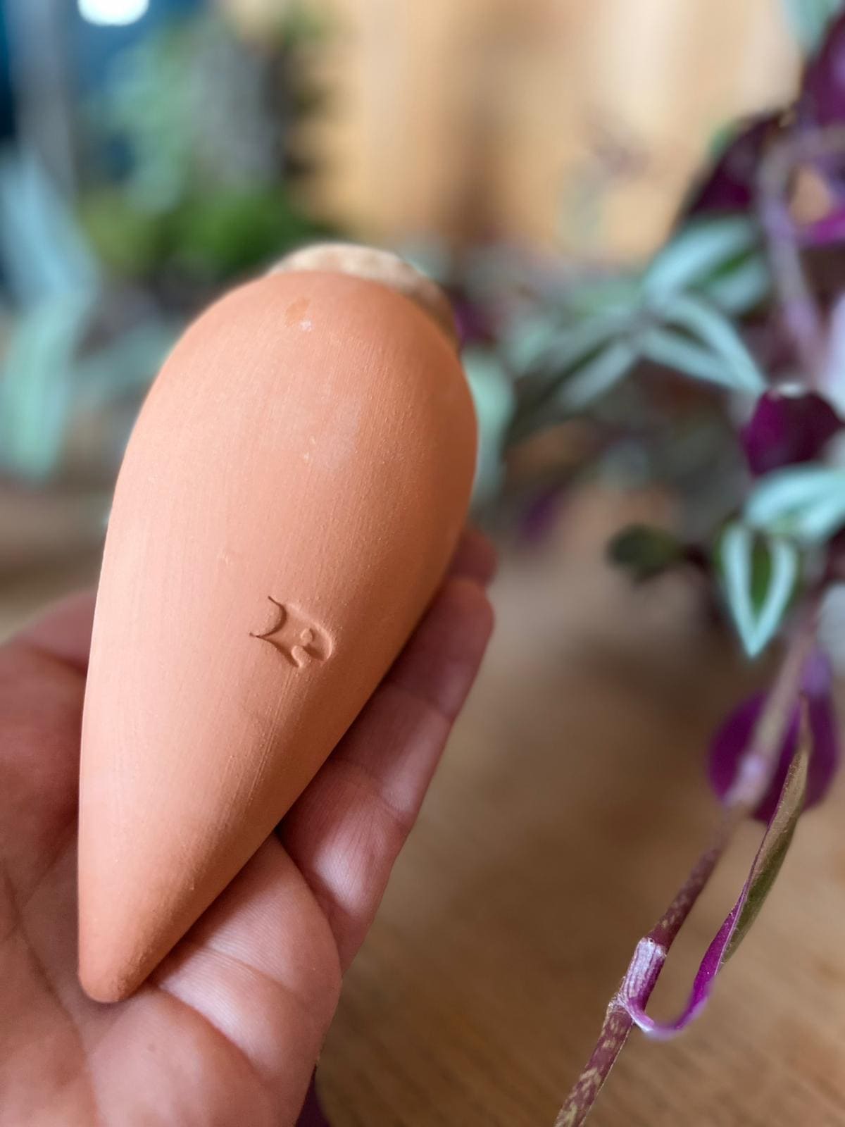 Ollas Pépin 15cl nature