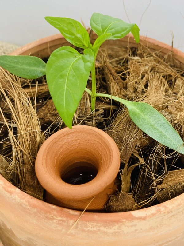 Micro Ollas (3pc) pour terrarium et petit pot – Image 3