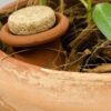 mini ollas pour plante en pot