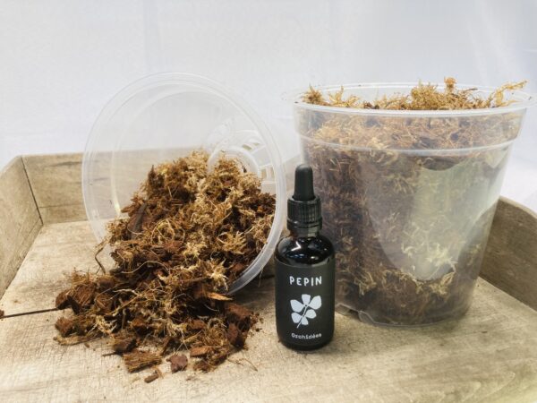 kit de rempotage monstera