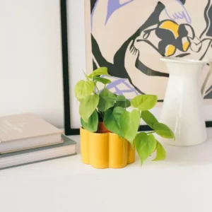 pot Pépin
