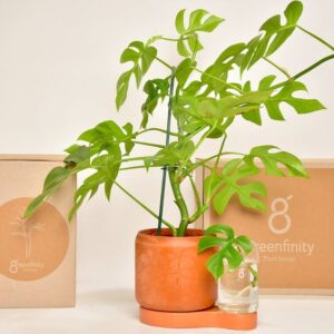 Pot plante Greenfinity