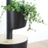 Arrosage automatique pour plantes