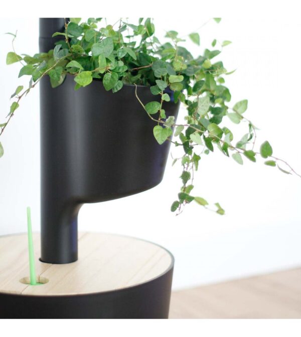 Arrosage automatique pour plantes