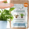hydro gel pour plantes vertes