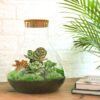 Terrarium Diy Kit - Sam Xl Red - Bottle Garden - ↑ 35 Cm – Image 4