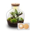 Terrarium Diy Kit - Fat Joe - Bottle Garden - ↑ 30 Cm
