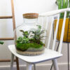 Terrarium Diy Kit - Fat Joe - Bottle Garden - ↑ 30 Cm – Image 5