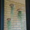 Tillandsia plante méduse suspendue L – Image 2