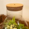 Cork With Led - Terrarium Cork With Light - 3 Sizes Available – Image 3