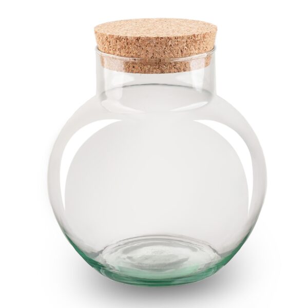 Terrarium With Cork - Noah - Closed Terrarium ↑ 20 Cm