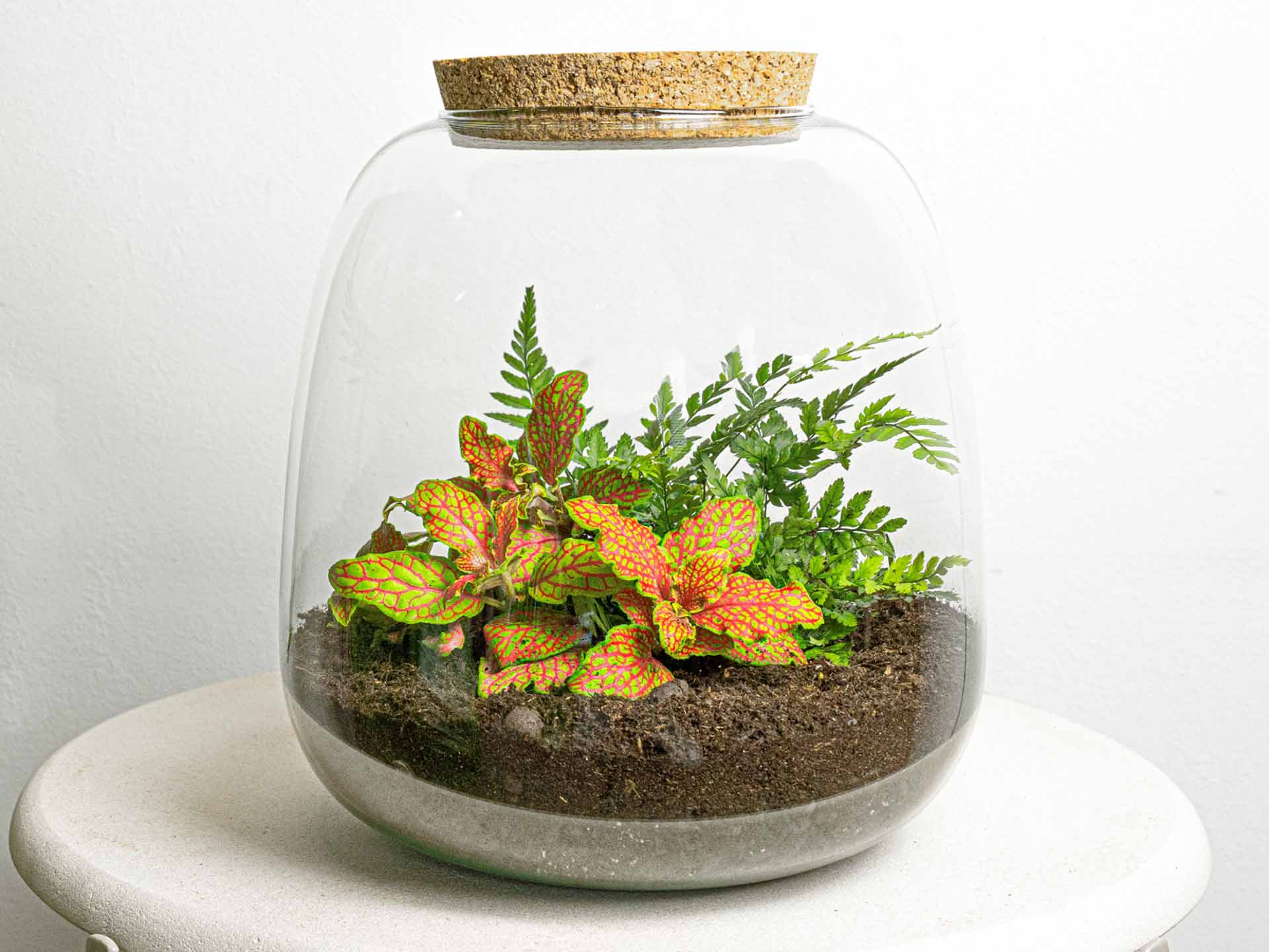 Terrarium Diy Kit – Emma Mini – Diy Kit – ↑ 20 Cm – Ø 19 Cm