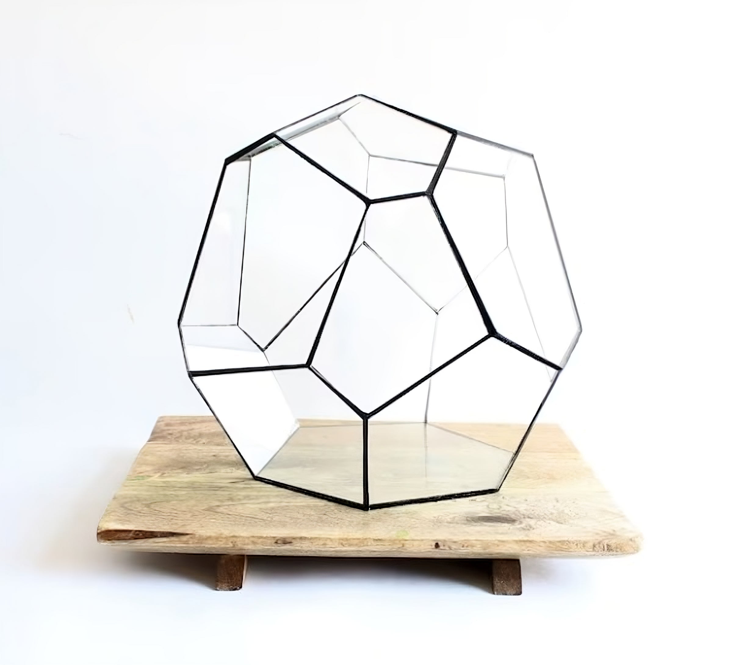 Geometric Terrarium – Cosmo – Vivarium – ↑ 31 X 29 X 29 Cm (Lxwxh) – Glass