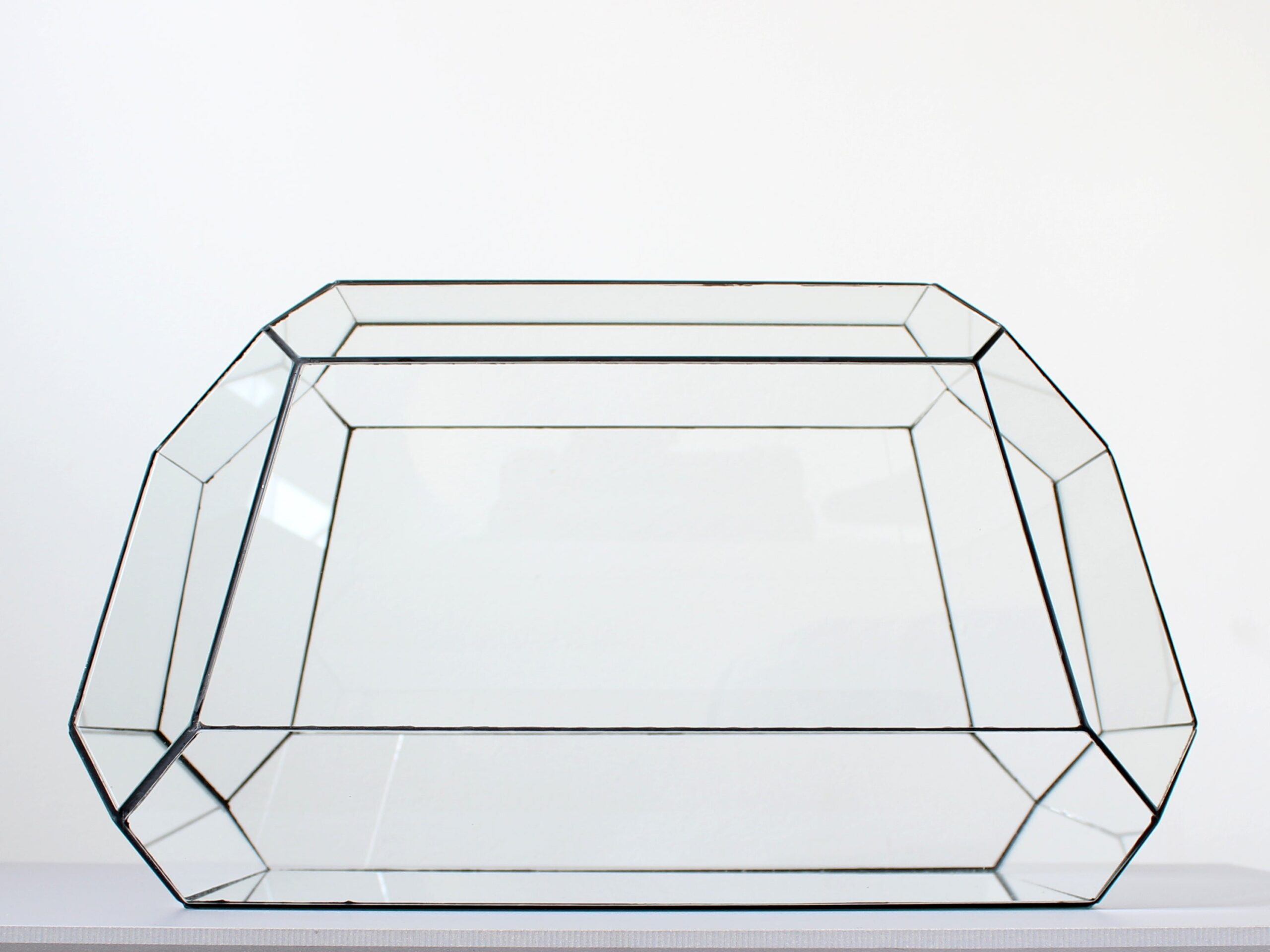 Geometric Terrarium – Nexus – Vivarium – ↑ 41,5 X 21X 23,5 Cm (Lxwxh) – Glass