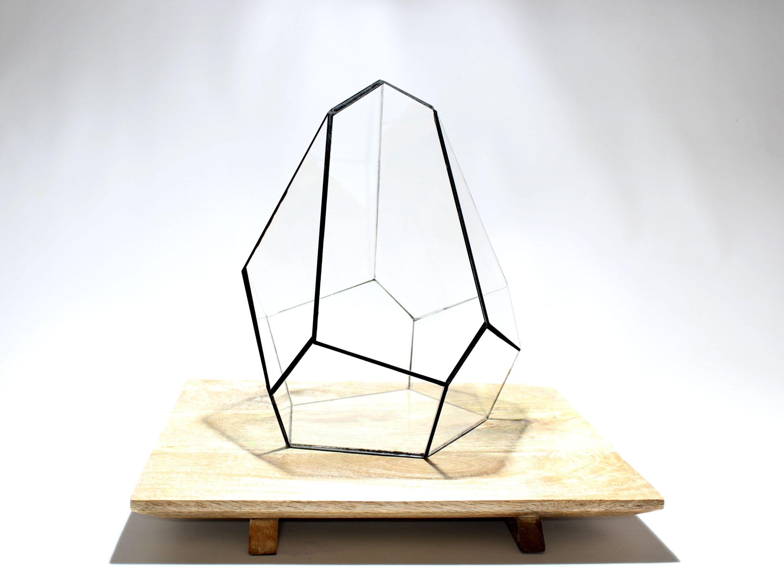 Geometric Terrarium – Jungle Gem – Vivarium – ↑ 16 X 15 X 19,5 Cm (Lxwxh) – Glass