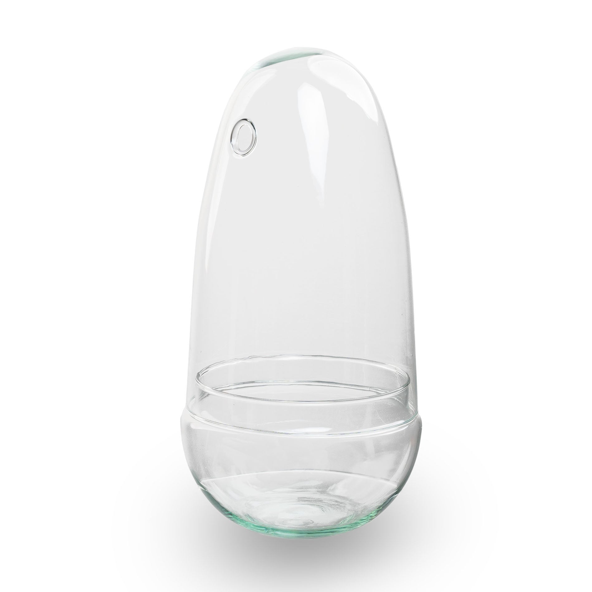 Egg – Glass Bulb – Bell Jar – Terrarium ↑ 25.5 Cm – Model: Egg