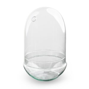 Egg Glass Terrarium 17,5 X 30 Cm
