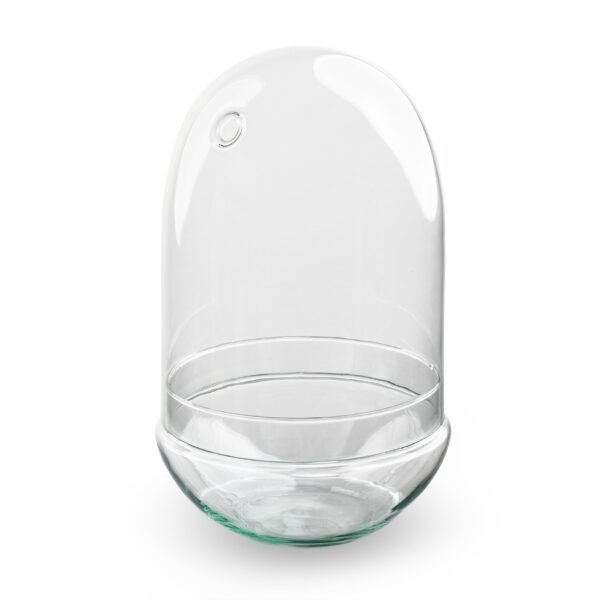 Egg Glass Terrarium 17,5 X 30 Cm