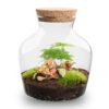 Terrarium Diy Kit - Little Joe - Bottle Garden - ↑ 21.5 Cm – Image 2