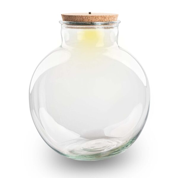 Terrarium Bottle With Led Cork - Bolder Bob - ↑ 30 Cm – Image 3