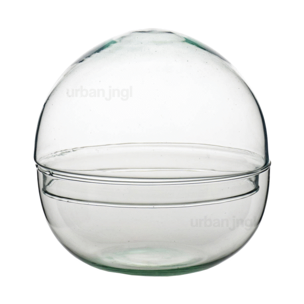 Dome - Globe Glass - Bell Jar - Closed Terrarium ↑20 Cm – Image 2
