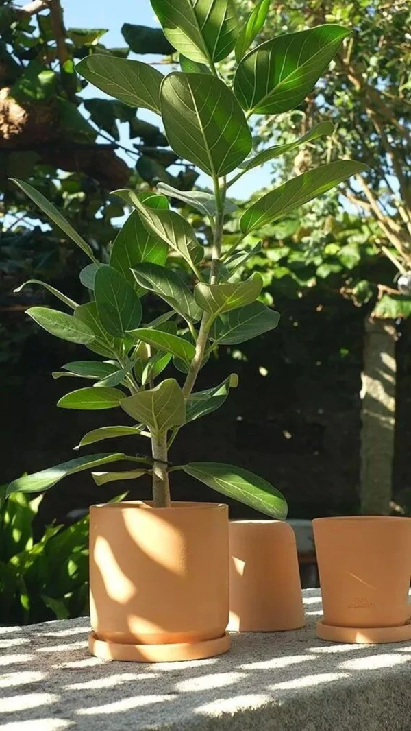 Pot Casa Atlantica nature 16cm – Image 2