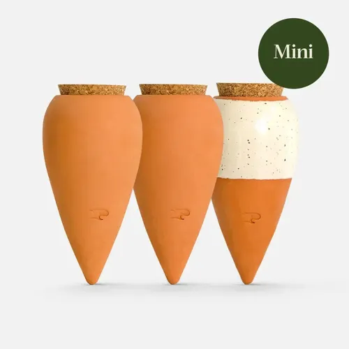 Trio de Ollas Pepin 15cl