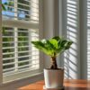 Brighamia Insignis 'Hawaii' - Set de 2 – Image 2