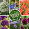 Mix de bulbes pour jardin Set de 120 – Image 2