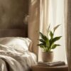 Spathiphyllum - vendu par 2 – Image 5