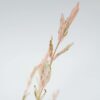 Salix Flamingo - Set de 2 – Image 10