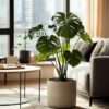 Monstera Deliciosa Xl - Set Van 2 - Gatenplant – Image 5