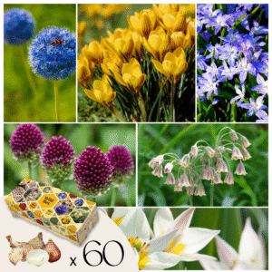 Mélange pour abeilles - 60 pièces