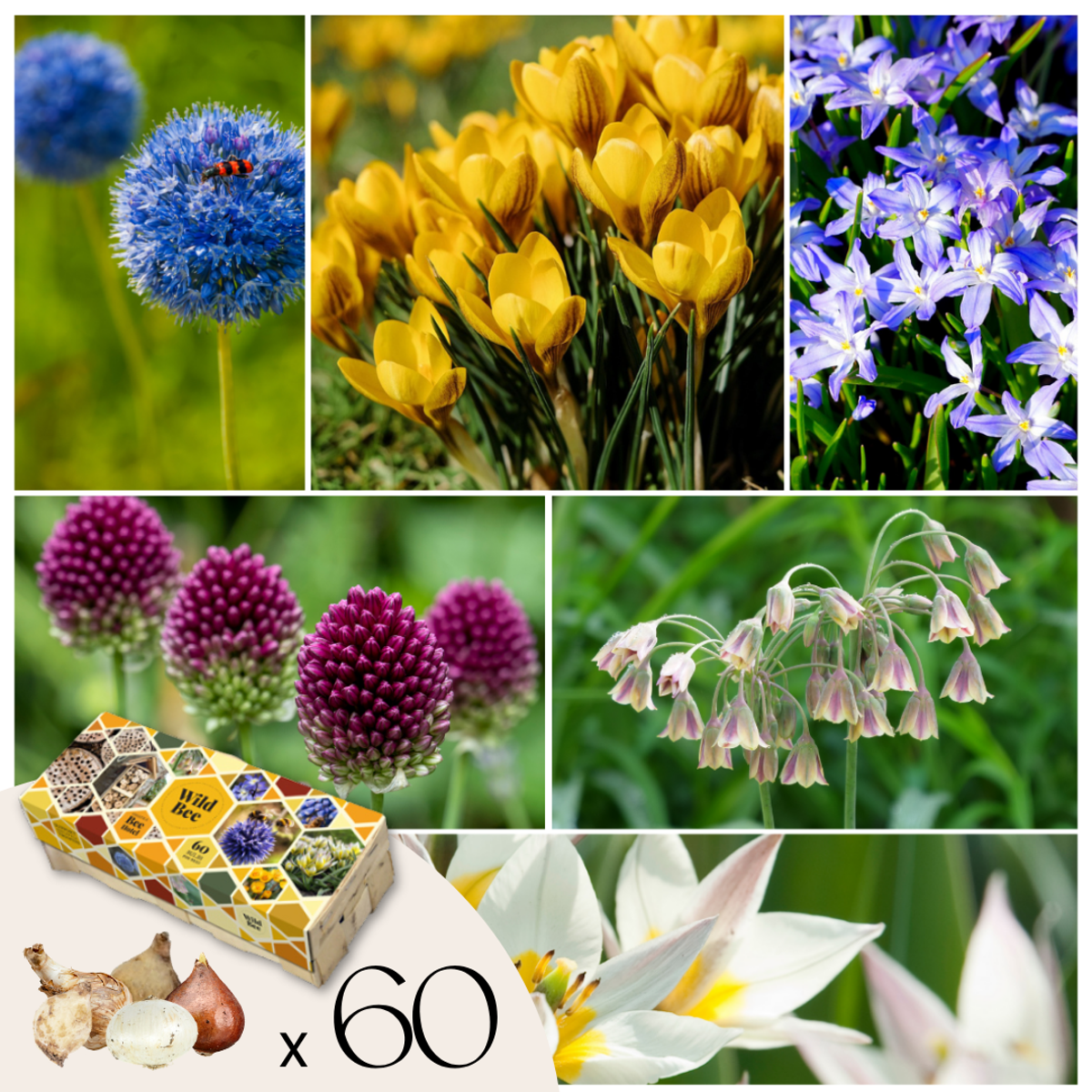 Mélange pour abeilles – 60 pièces