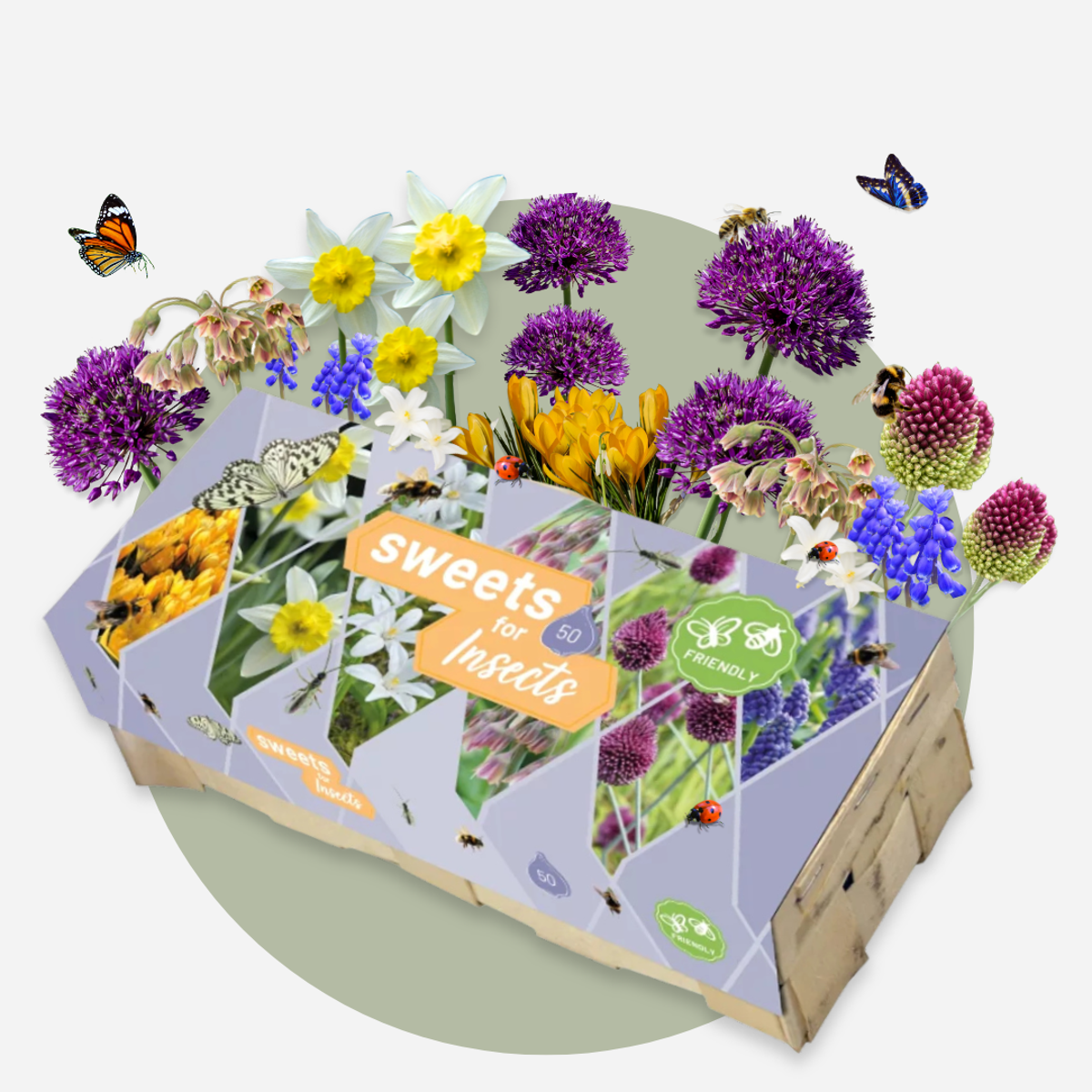 Mélange de bulbes - 50 pièces – Image 5