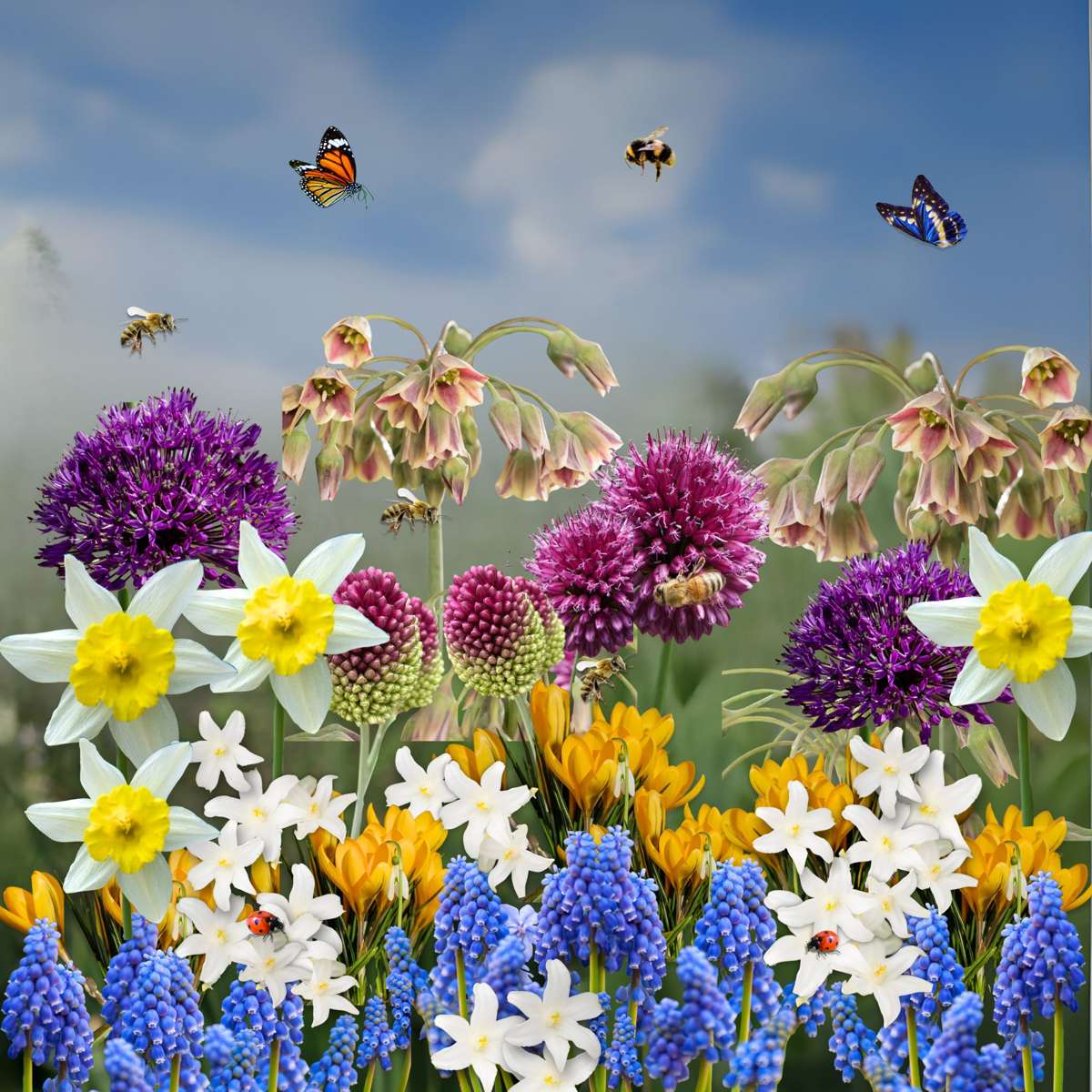 Mélange de bulbes - 50 pièces – Image 8