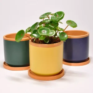 Pot Casa Atlantica coloré 13cm