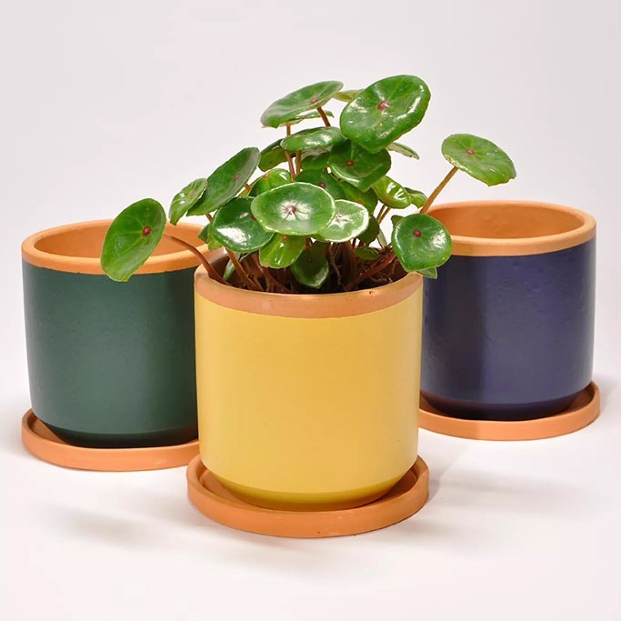 Pot Casa Atlantica coloré 13cm