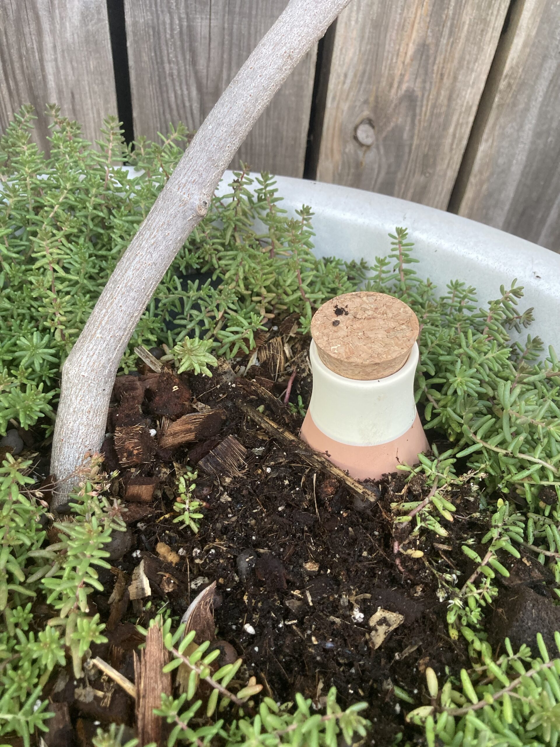 Ollas a enterrer pour jardinière et pot – Image 2