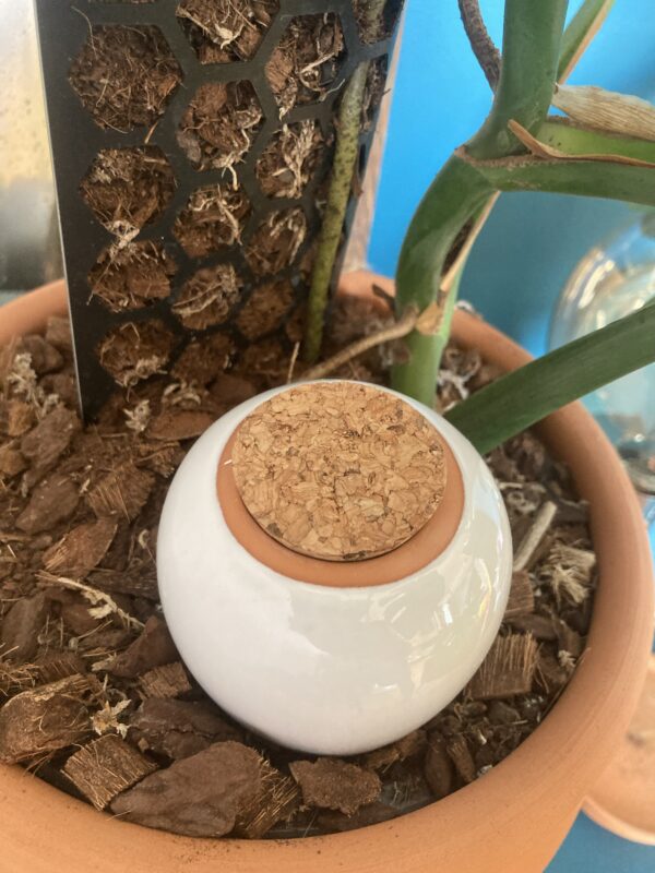 Ollas à planter 40cl – Image 3