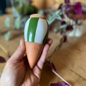 Olla irrigation terre cuite 15cl Pépin rayures vert blanc pour arrosage automatique plantes intérieur