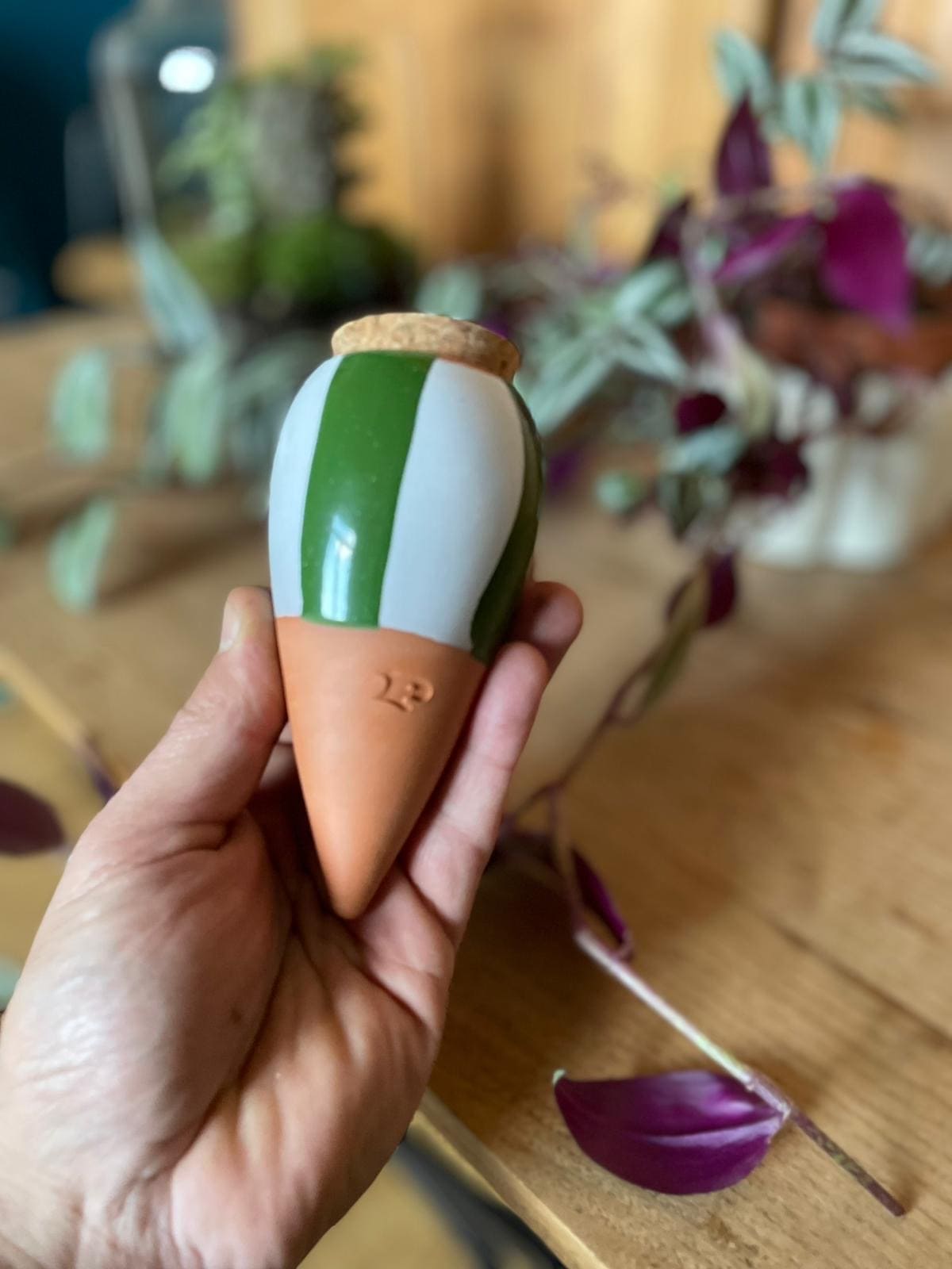 Olla irrigation terre cuite 15cl Pépin rayures vert blanc pour arrosage automatique plantes intérieur