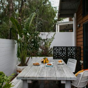 Plantes de terrasse