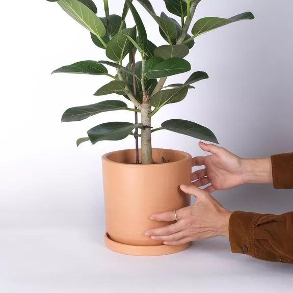 Grand pot Casa Atlantica nature 19cm
