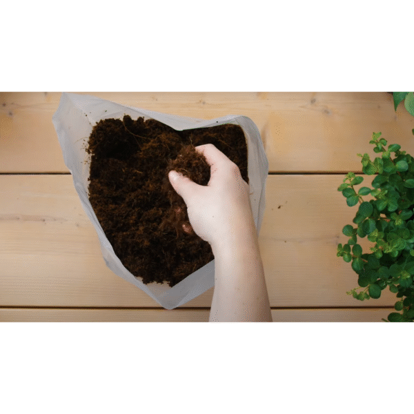 Terreau de base coco - 10 Litres – Image 4