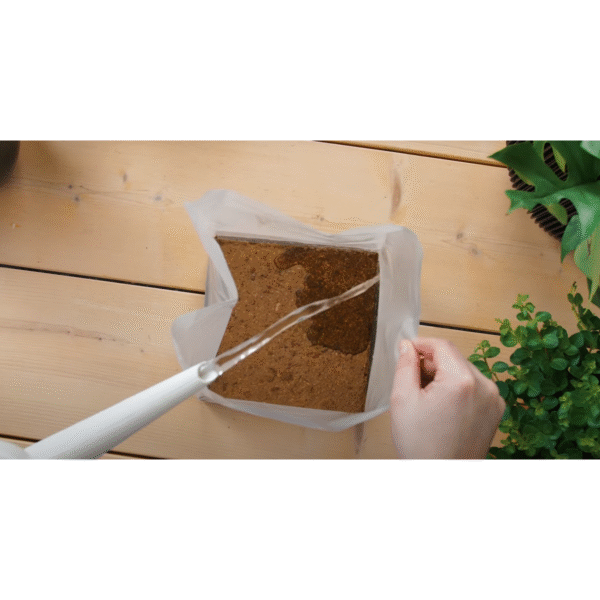 Terreau de base coco - 10 Litres – Image 5
