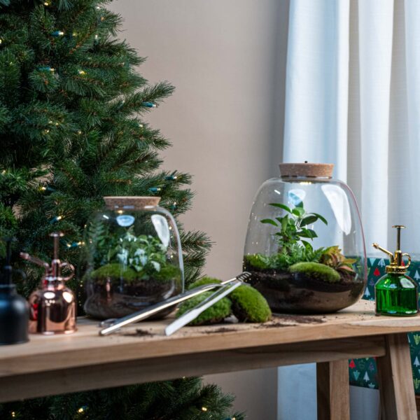 Terrarium Emma - Ø 23 Cm ↑ 25 Cm - Relatiegeschenk – Image 2