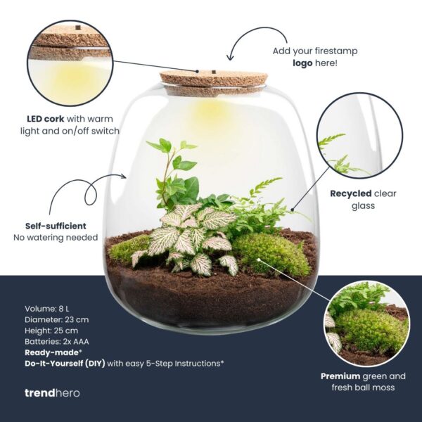 Terrarium Emma - Ø 23 Cm ↑ 25 Cm - Relatiegeschenk – Image 3