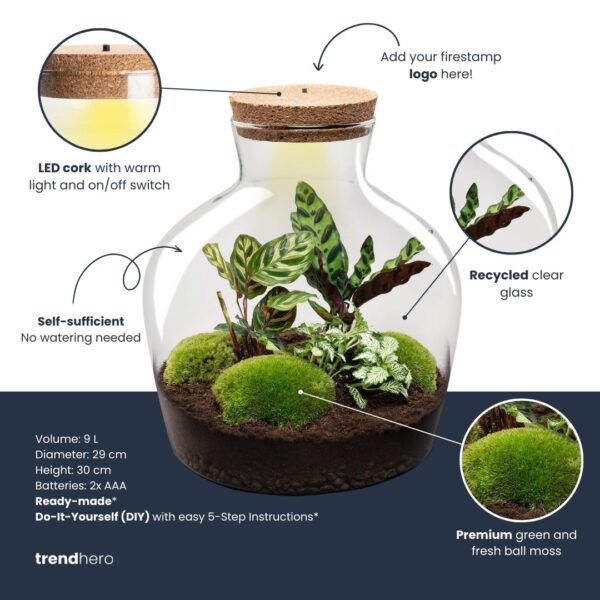 Terrarium Fat Joe - Ø 29 Cm ↑ 30 Cm – Image 2